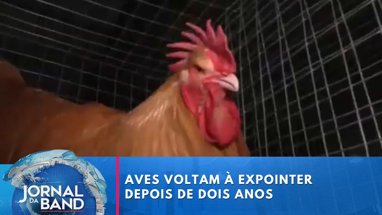 Aves voltam à Expointer depois de dois anos