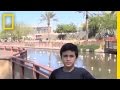 Scottsdale Geography and Cactus Facts