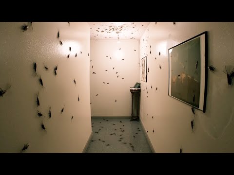 うわああああああああああ！！！！！！