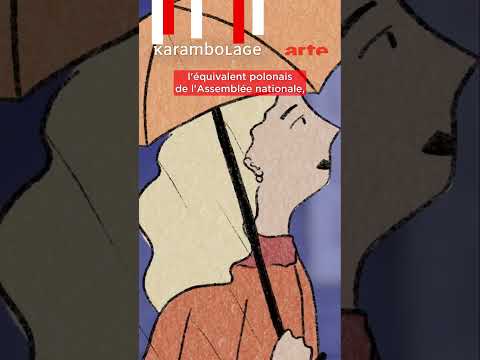 🇵🇱🌂 En Pologne, quand on revendique ses droits, on sort son parapluie ! #arte #karambolage #8mars