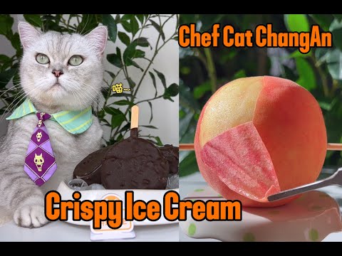 Chef Cat's Ice Cream,That's genius.#catsofyoutube #food #asmr #pets