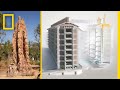 Biomimicry and Sustainable Design Concepts