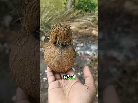 La forma tradicional de encontrar agua de manantial