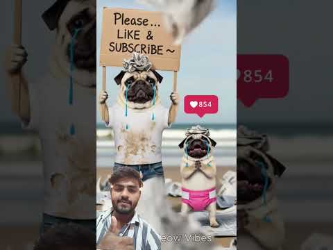 The poor pug and his puppy’s newspaper rocket was destroyed.#pug #funny #cute #poordog