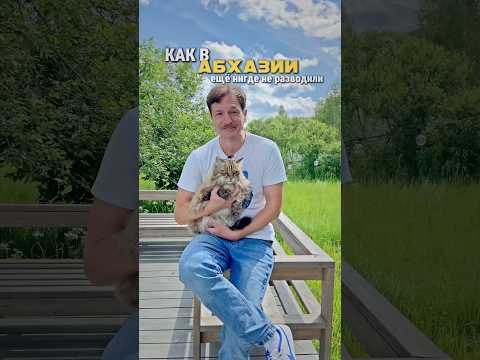 Абхазия - сплошной развод