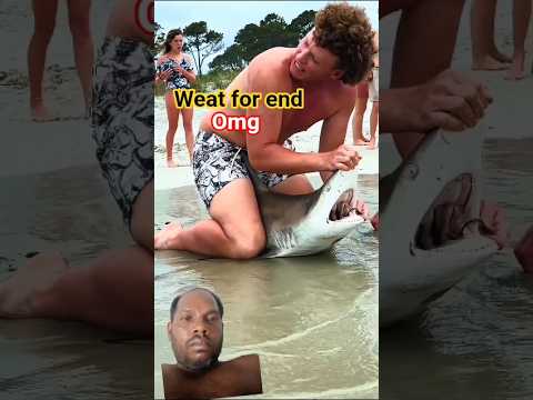 dengar Sark fish animal lover #shorts #shortsfeed #youtubeshorts #fishing #beach #shark #wildlife