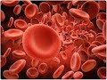 Functions of Blood Components