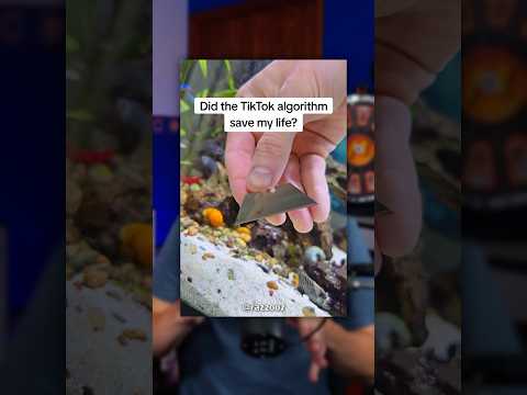 TikTok Almost Saved His Life 👀