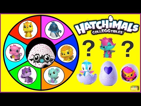 Find the Hatchimals CollEGGtibles Surprise Eggs in Hatchtopia | Spinning Wheel Kids Game