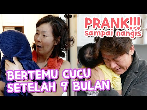 TANGIS HARU!!😭 Pertama Kali Kakek Nenek Korea Ketemu Cucu Datang Dari Indonesia 🇰🇷🇮🇩