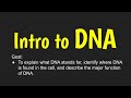 Understanding DNA and Its Functions