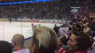 Pfiffe,Beleidigungen,.. gegen die Fehlentscheidung | Eisbären - Nürnberg Tigers |