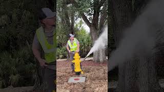 "Going with the Flow" with LCU | Following the Water Flow