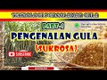 Kuis Pengolahan Gula
