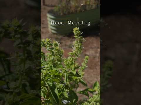 Have a Blessed Day My Friends