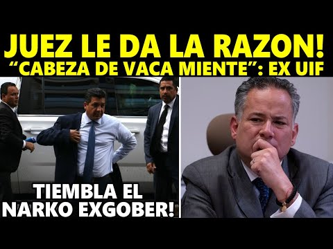 TIEMBLA CABEZA de VACA! Juez de Piña reconoció validez de documento de USA: Santiago Nieto