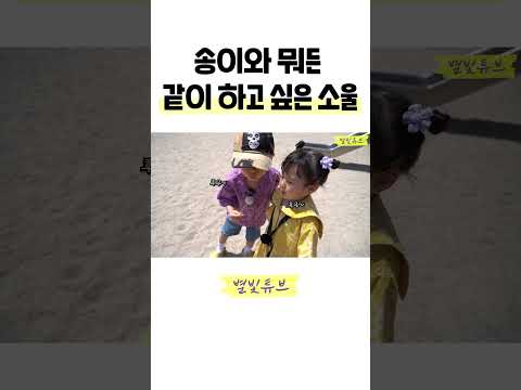 소울이 오빠는 송이가 너무 좋아요 #shorts