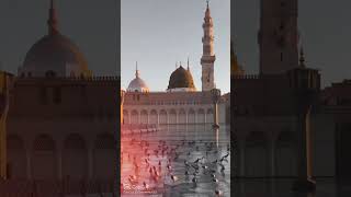 #viralvideo #foryou #love #allah