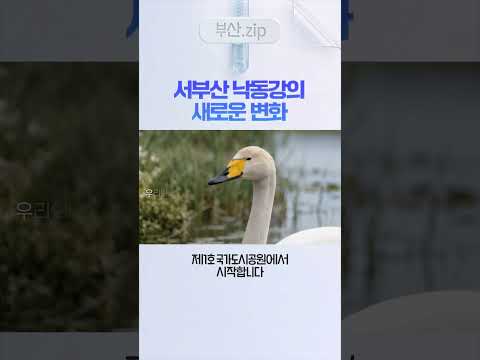 제1호 낙동강하구 국가도시공원 지정 <strong>염원</strong>🌿