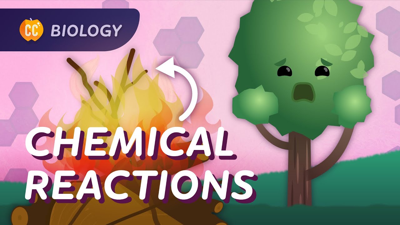 Energy and Life: A Deep Dive into Cellular Processes
