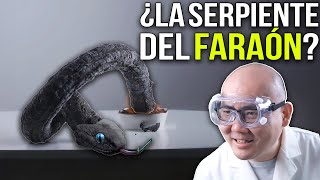¡Así se HACE la increíble SERPIENTE DEL FARAÓN! | Clásicos Ocultos de Miwu: Episodio 14