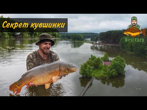 Трофейний короп на казковій водоймі!Карпфішинг в Англійському стилі поміж кувшинки!
