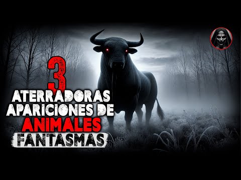 3 HISTORIAS DE TERROR de ANIMALES FANTASMAS - RELATOS DE TERROR