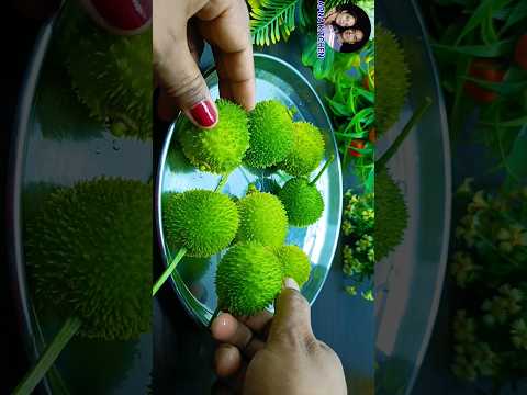 ककोड़ा की सब्जी ऐसे बनाएंगे तो ककोडा़ नहीं खाने वाले भी उंगलियाॅं चाट-चाटकर खाएंगे