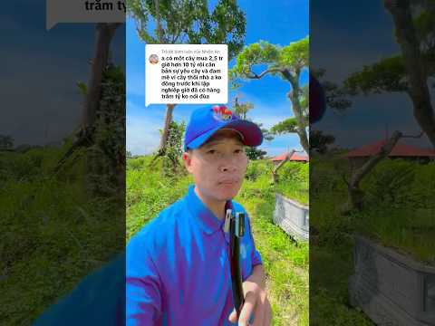 Muốn giàu từ cây thì đi từ phôi #tuanbonsai