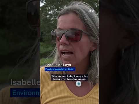Heron in Brazil freed from plastic cup | DW News