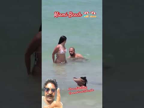 एक सुंदर beach 🏖️  😱, #Miami Beach 🏖️⛱️ #miamibeach #beach #YT Shorts #Trending #Viral