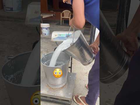 Dhai litre doodh 🫡 Milking Buffalo at SDD #shorts #milk #dairyfarm #dairyfarmers