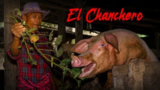 EL CHANCHERO | Cuentos y Leyendas de Honduras