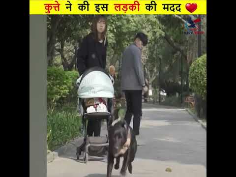 कुत्ते🐕 ने की इस लड़की की मदद 💖💖#kindanimal #shorts