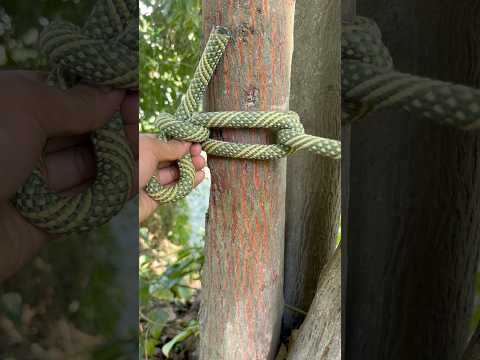 How to Tie knots like a Pro