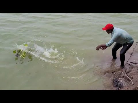 HOW TO CATCHING By 🎣BiG ROHU FLOAT FISHING TECHNIQUES AND SINGLE HOOK