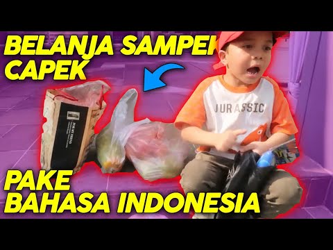 Borong Mainan ke Pasar Sampai Capek | 24 Jam Qahtan Halilintar Bahasa Indonesia