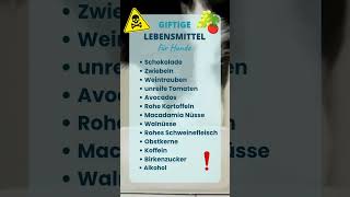 Folge @hundalleinelassen_larissa für Alleinbleiben-Tipps.

⚠️ Achtung ⬇️

Während manche Lebensmitte