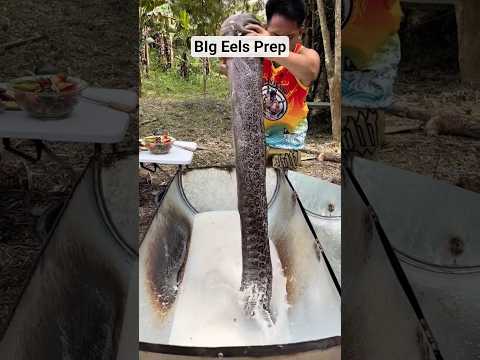 Giant Moray Eel on Massive Outdoor Stove! 🔥🐍