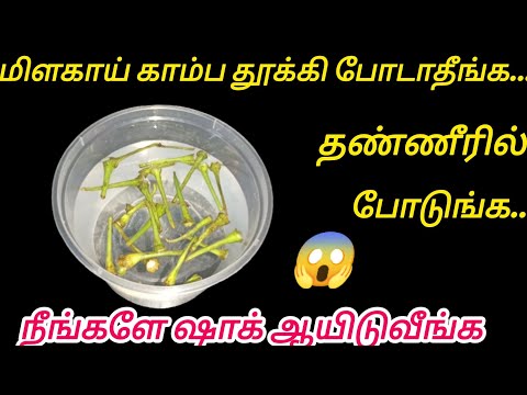 அடியாத்தி இது தெரியாம குப்பையில போட்டுட்டோமே!!#kitchentips#kitchenhack#tips