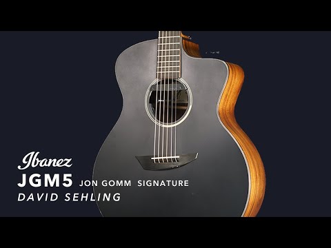 Ibanez JGM5 featuring David Sehling