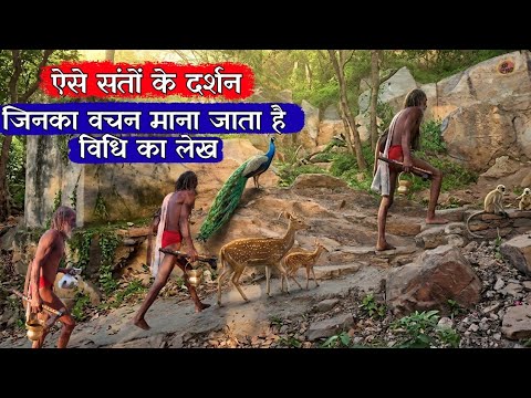 सिद्ध संत कपिल बाबा जिनका वचन माना जाता है विधि का लेख @BrajVihar  #santseva #brajkesant 