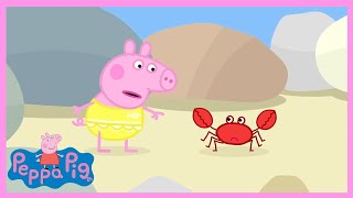 Omiljena Zivotinja Peppa Pig! (Kompilacija) | Peppa Pig Hervatska Cijele Epizode | Crtići Za Djecu