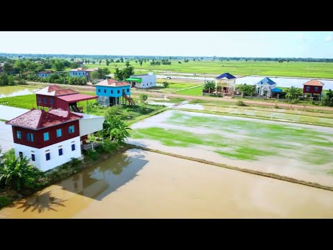 ទស្សនាទេសភាពភូមិពោធិ៍ ឃុំពោធិ៍ ស្រុកស្រីសន្ធរ ខេត្តកំពង់ចាម នារដូវភ្ជុំបិណ្ឌ