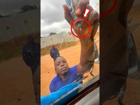 Nunca Confies En Un Reparador De Cristales De Autos 😲
