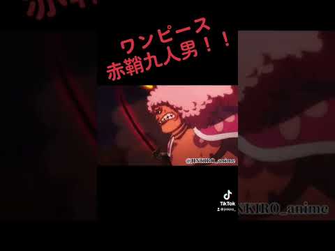 ONE PIECE ×かくれんぼ 赤鞘九人男vs.カイドウ #ワンピース   #onepiece #alia #かくれんぼ