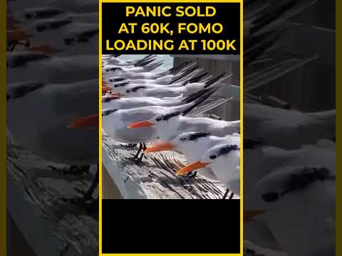 Panic Sold BTC At 60k, FOMO Loading at 100k