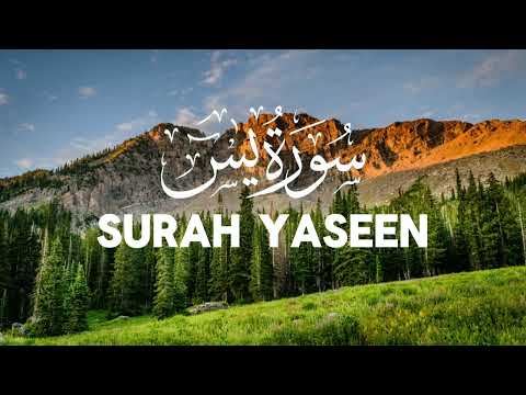 Beautiful Surah Yaseen(Yasin) | سورہ يسٓ | The heart of Quran #surahyaseen #surahyasin 250715