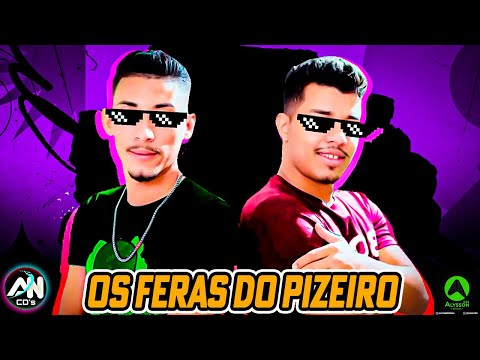 OS MELHORES FORRÓZIN 2025 - AS MAIS TOCADAS PRA PAREDÃO - SELEÇÃO TIK TOK 2024 - OS FERAS DO PIZEIRO