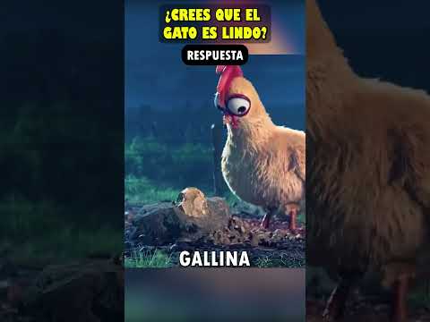 Gallinas Hicieron Un Huevo Falso